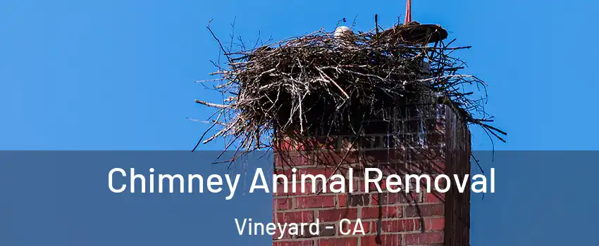 Chimney Animal Removal Vineyard - CA