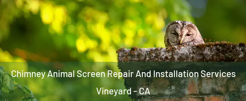  Chimney Animal Screen Repair And Installation Services Vineyard - CA