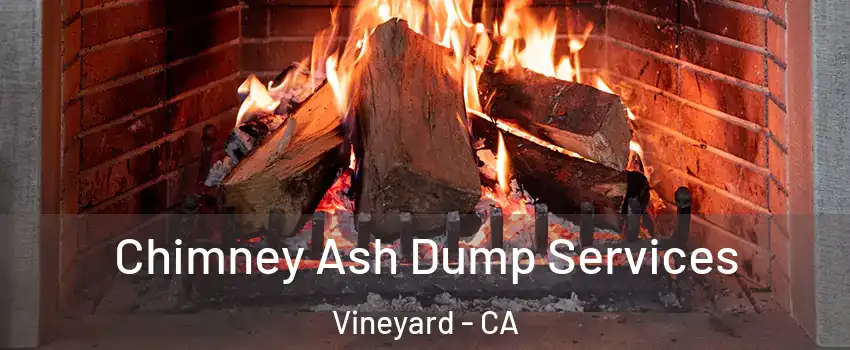  Chimney Ash Dump Services Vineyard - CA