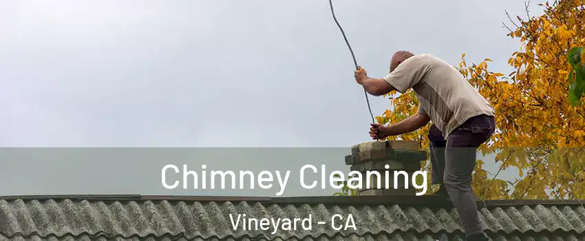  Chimney Cleaning Vineyard - CA