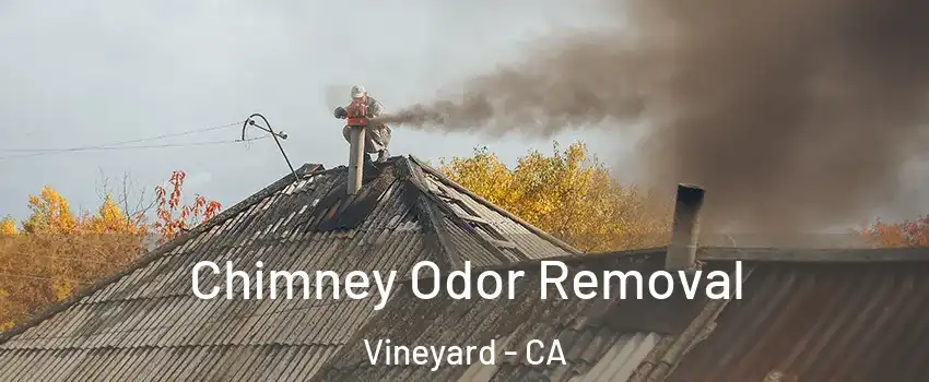  Chimney Odor Removal Vineyard - CA