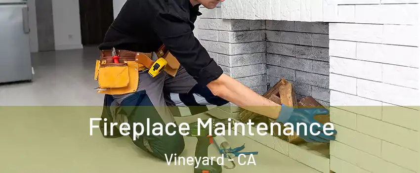  Fireplace Maintenance Vineyard - CA