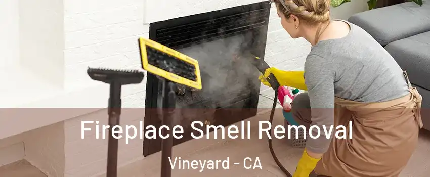  Fireplace Smell Removal Vineyard - CA