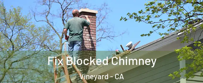  Fix Blocked Chimney Vineyard - CA