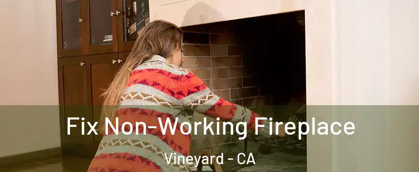  Fix Non-Working Fireplace Vineyard - CA