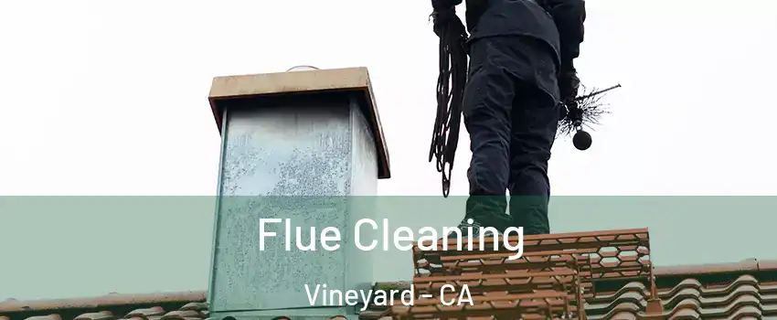  Flue Cleaning Vineyard - CA