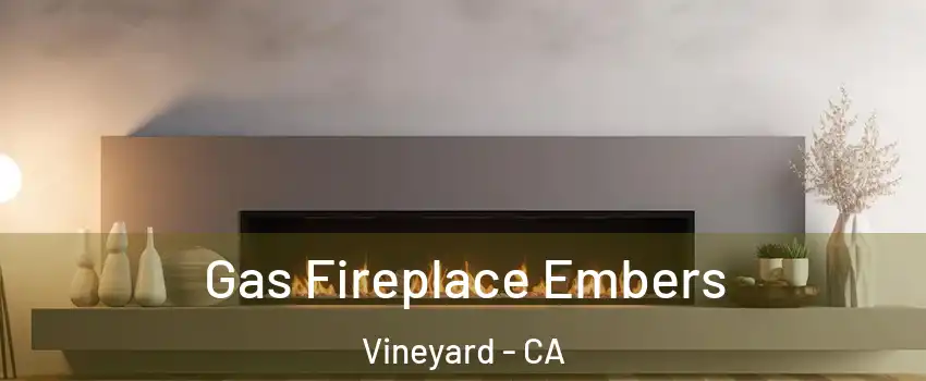  Gas Fireplace Embers Vineyard - CA