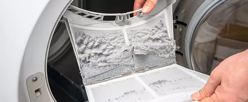 Best Dryer Lint Removal Company in Vineyard, California