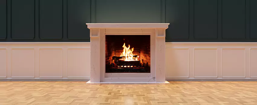 Napoleon Electric Fireplaces Inspection Service in Vineyard, California