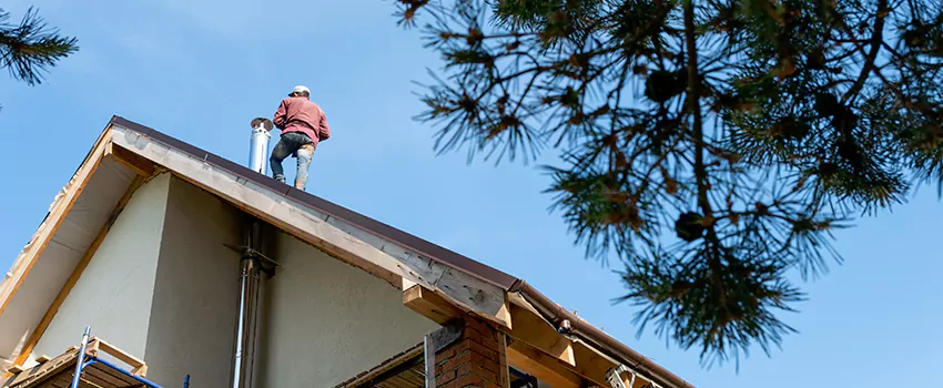 Birds Removal Contractors from Chimney in Vineyard, CA
