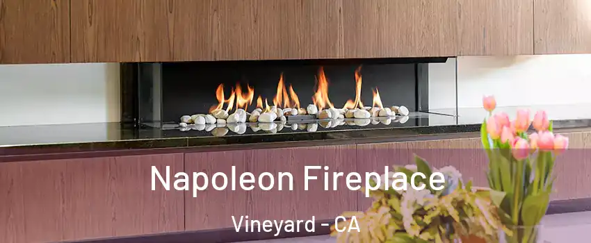  Napoleon Fireplace Vineyard - CA