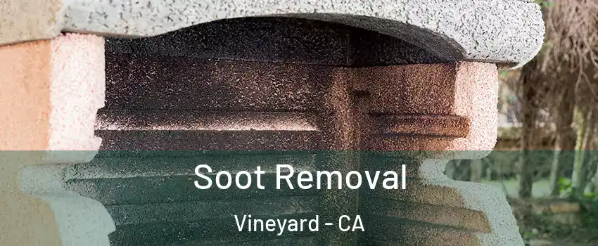  Soot Removal Vineyard - CA