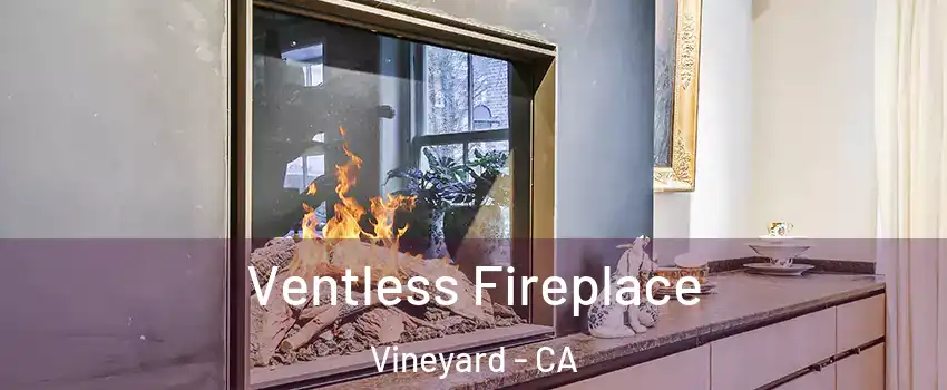  Ventless Fireplace Vineyard - CA
